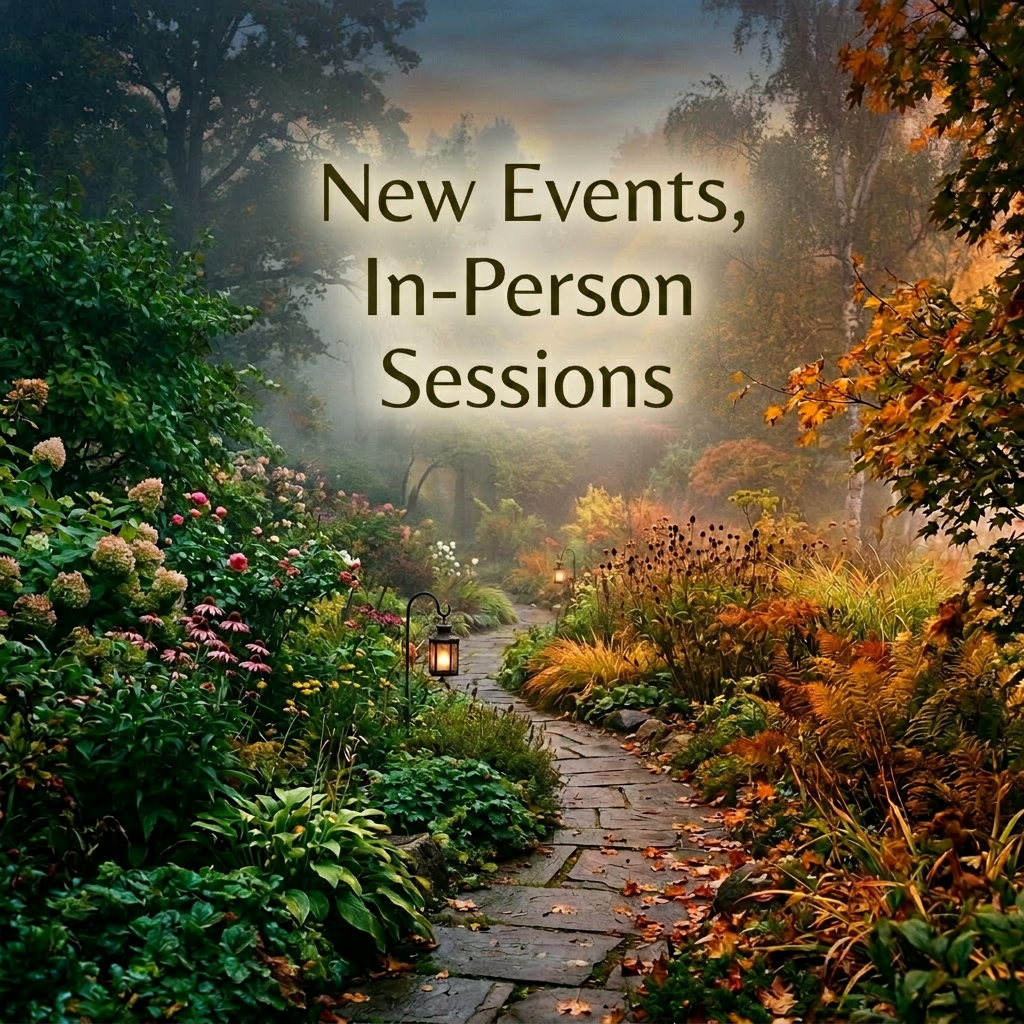 Stone pathway with lanterns surrounded by autumn foliage and colorful flowers in a misty garden